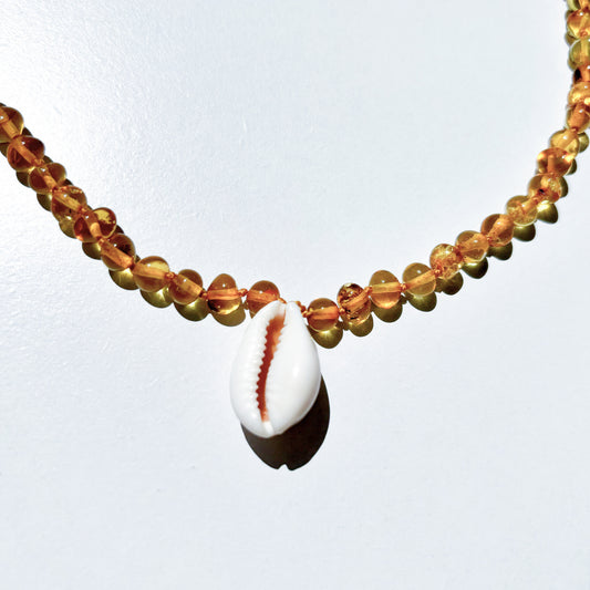 Amber Necklace with Cowrie Shell - Honey- 45cm