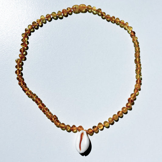 Amber Necklace with Cowrie Shell - Honey- 45cm