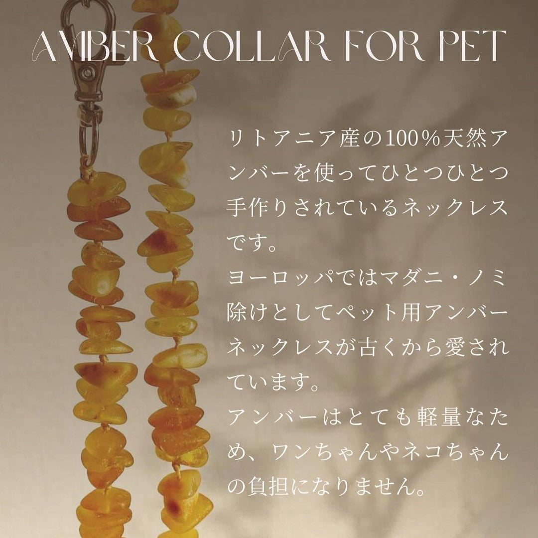 Amber Collar for pet -Raw honey- 35cm~41cm